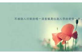 阳西资产调查